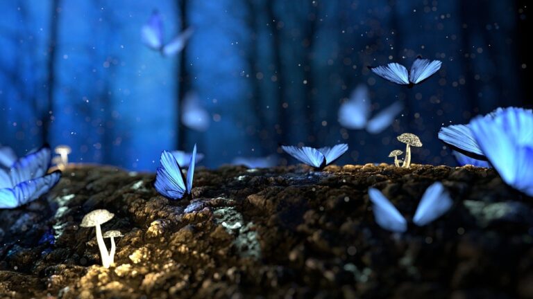 Fantasy Butterflies Mushrooms  - Stergo / Pixabay
