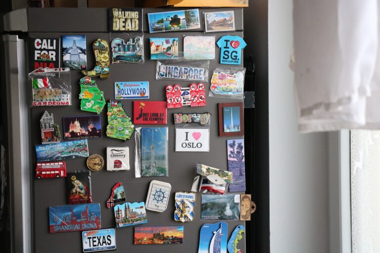 Refrigerator Magnets Souvenirs  - LeoCastrum / Pixabay